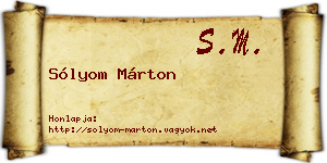 Sólyom Márton névjegykártya